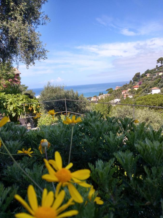 Villino Brunetto Azienda Agrituristica Camogli Luaran gambar