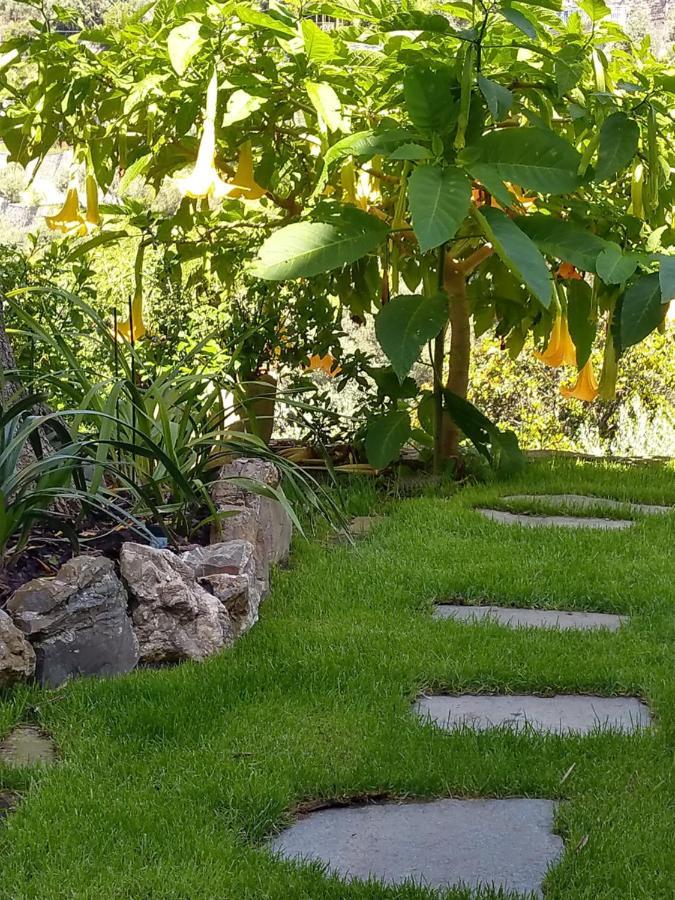 Villino Brunetto Azienda Agrituristica Camogli Luaran gambar