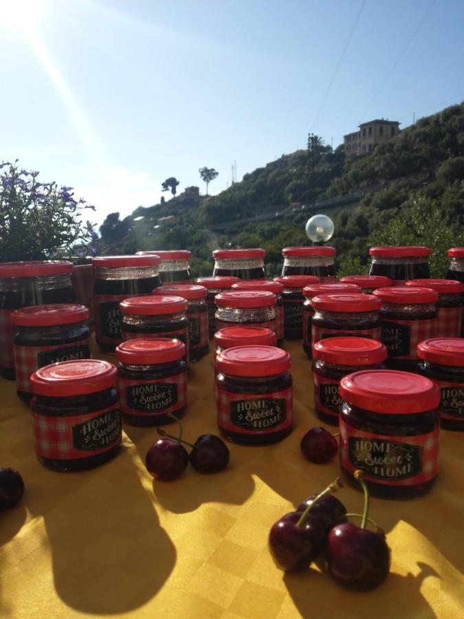 Villino Brunetto Azienda Agrituristica Camogli Luaran gambar