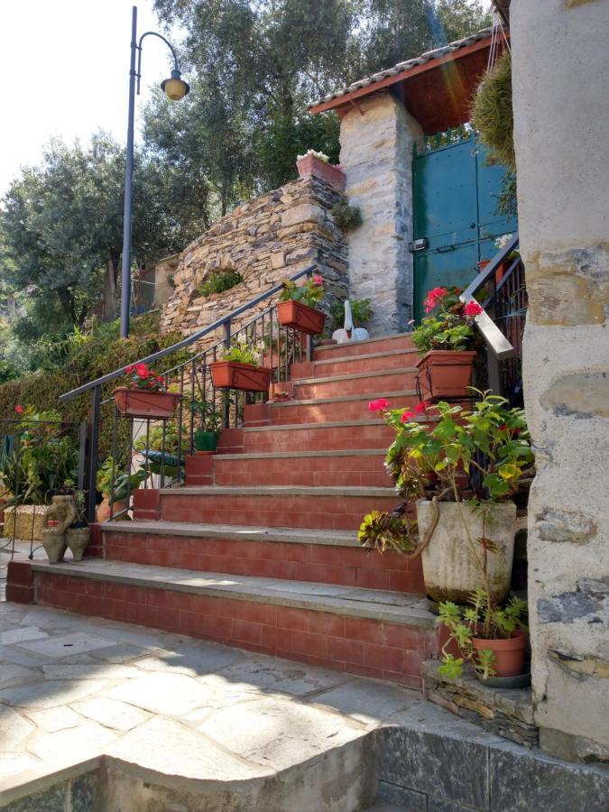 Villino Brunetto Azienda Agrituristica Camogli Luaran gambar