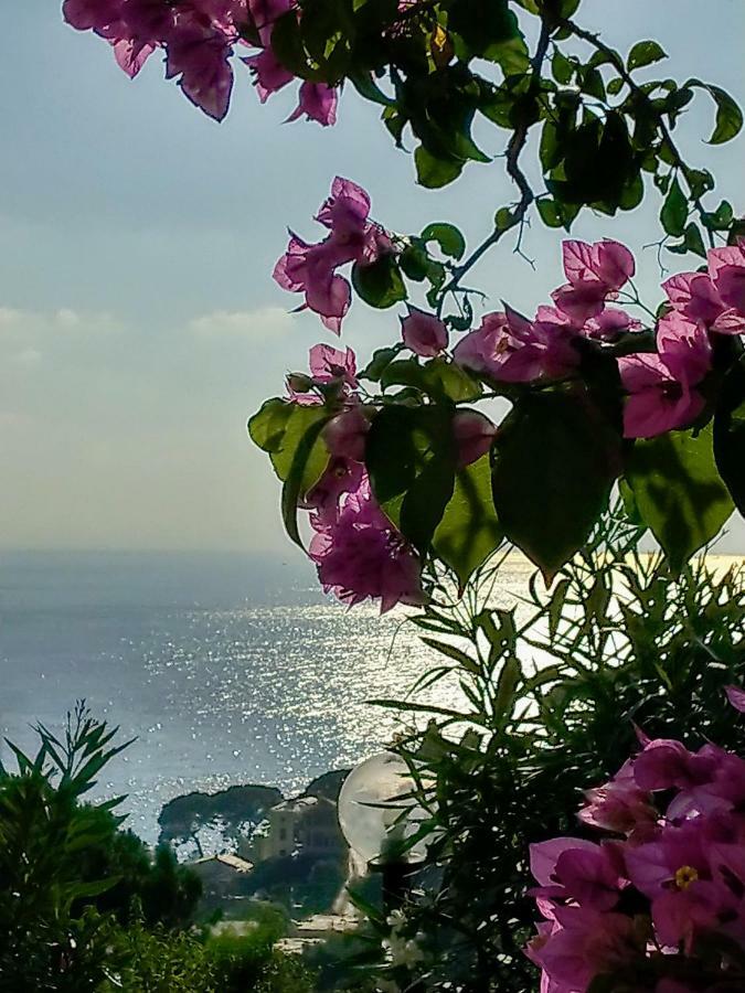 Villino Brunetto Azienda Agrituristica Camogli Luaran gambar